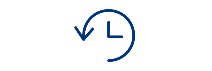 Icon: Time to Value